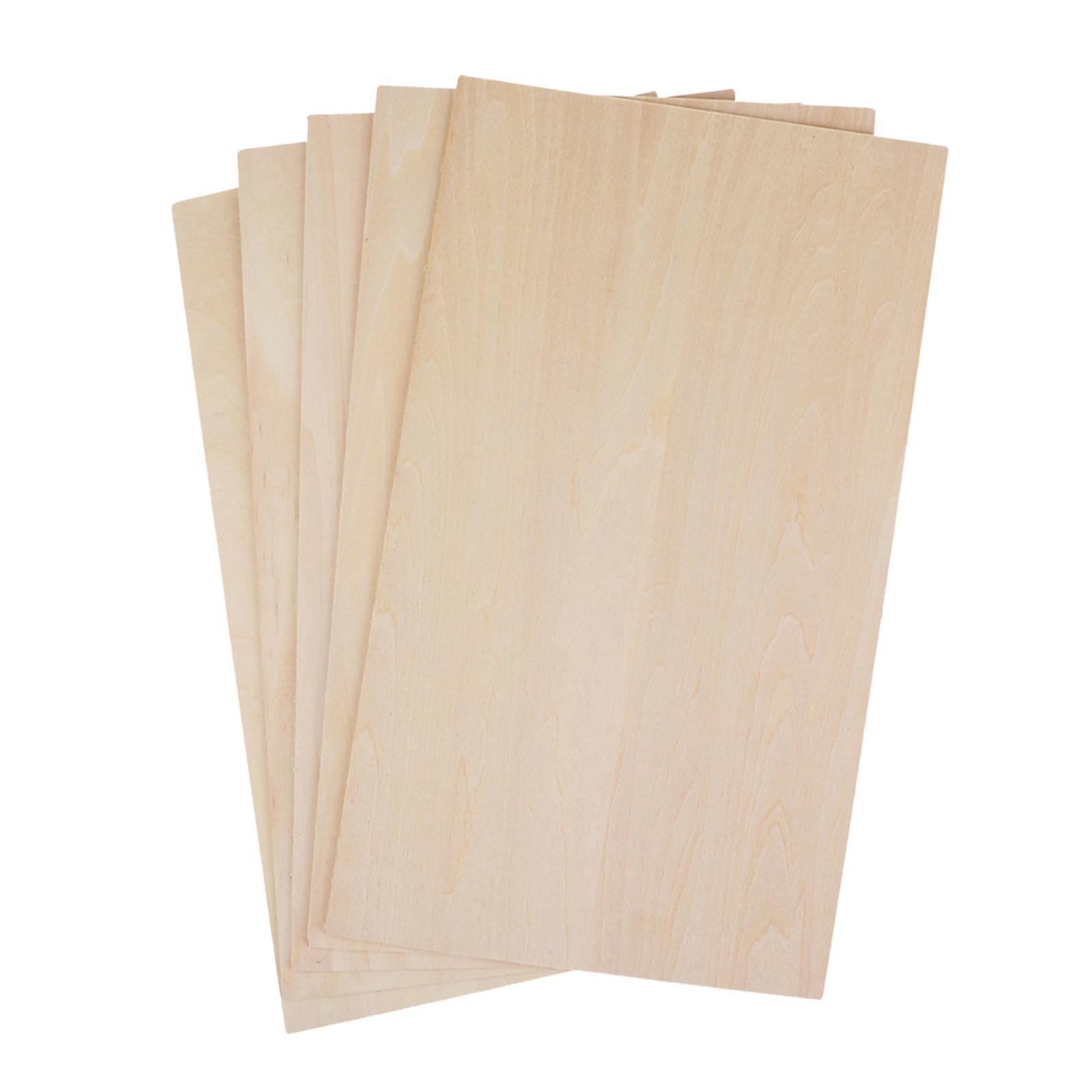 10Pcs Wood Sheets Unfinished B - Art Craft House Making 评论和价格