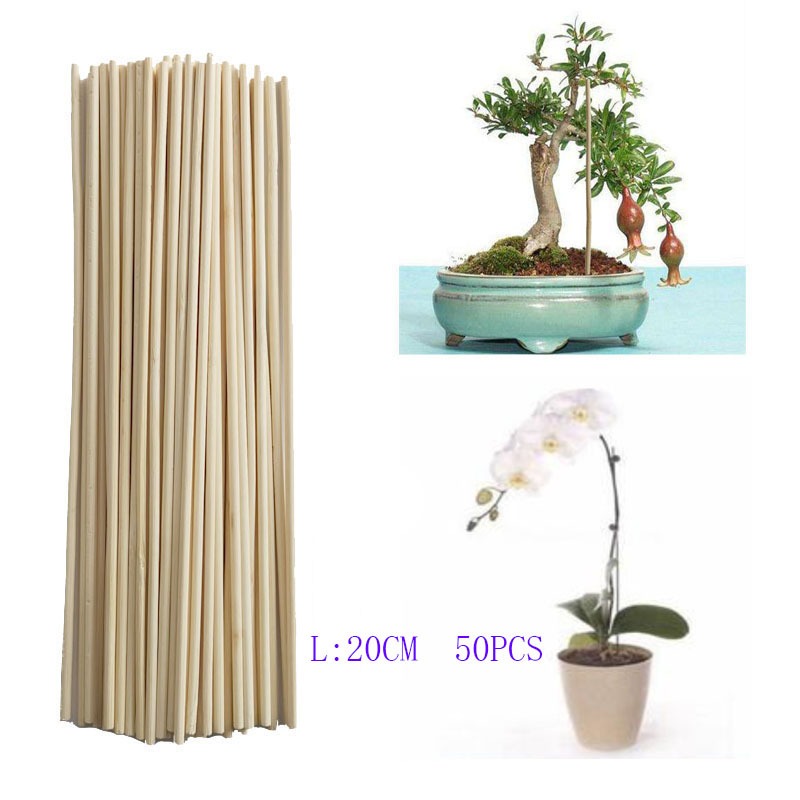 50PCS 20CM Bamboo Dowel Rods N - Art Craft Stick 评论和价格