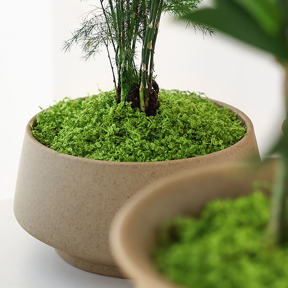 About 20g Artificial Green Pla - Art Craft Flower 评论和价格